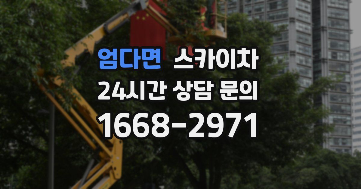엄다면 스카이차