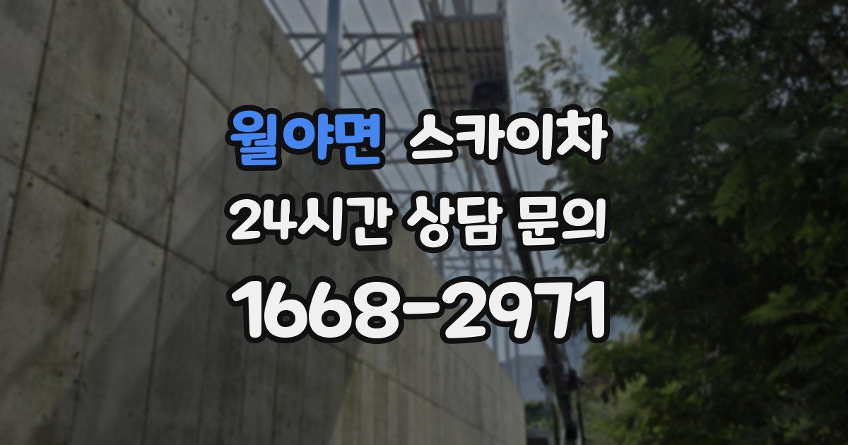 월야면 스카이차