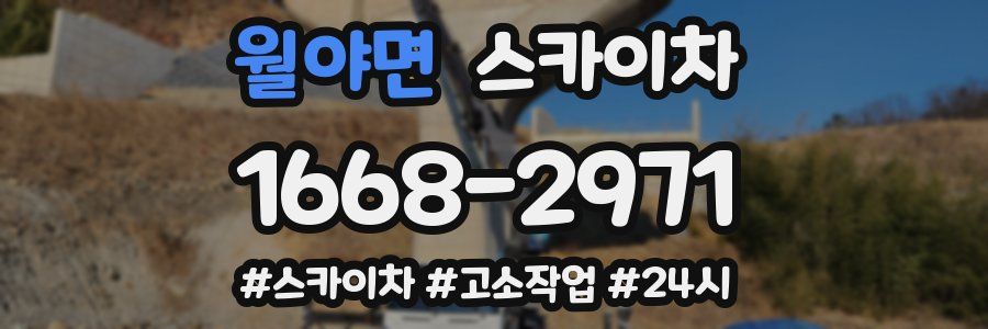 월야면 스카이차