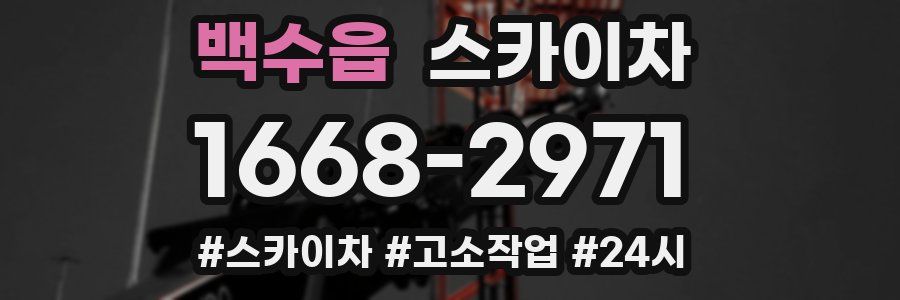 백수읍 스카이차