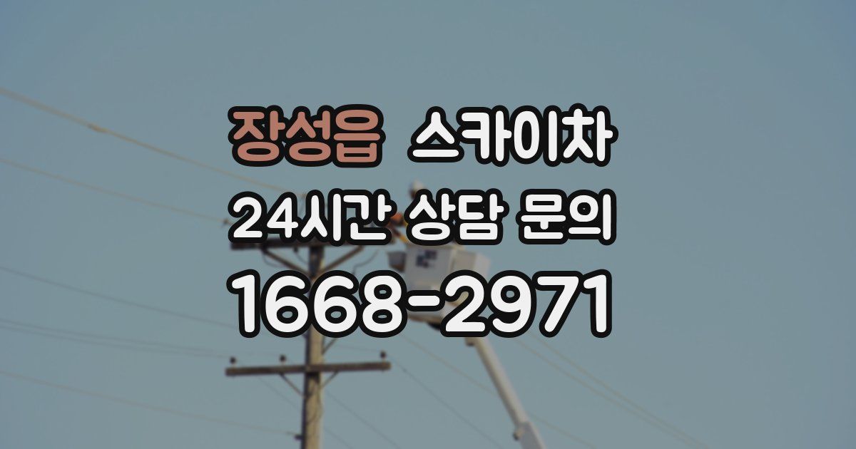 장성읍 스카이차