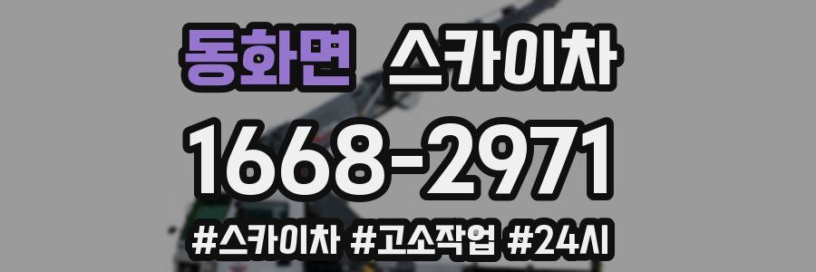 동화면 스카이차