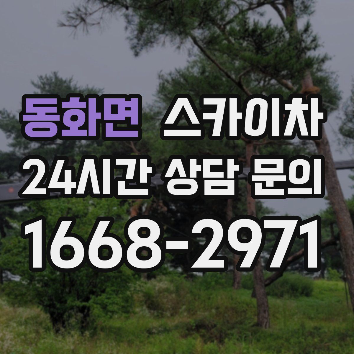 동화면 스카이차