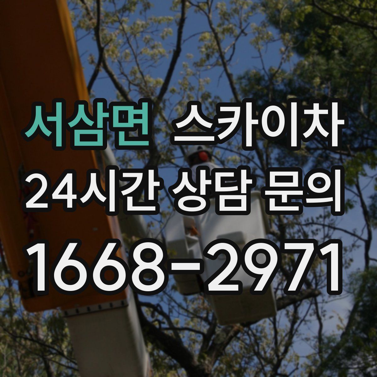 서삼면 스카이차