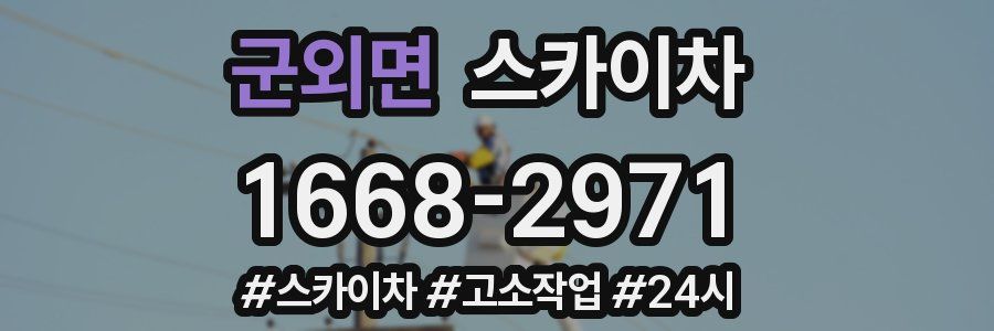 군외면 스카이차