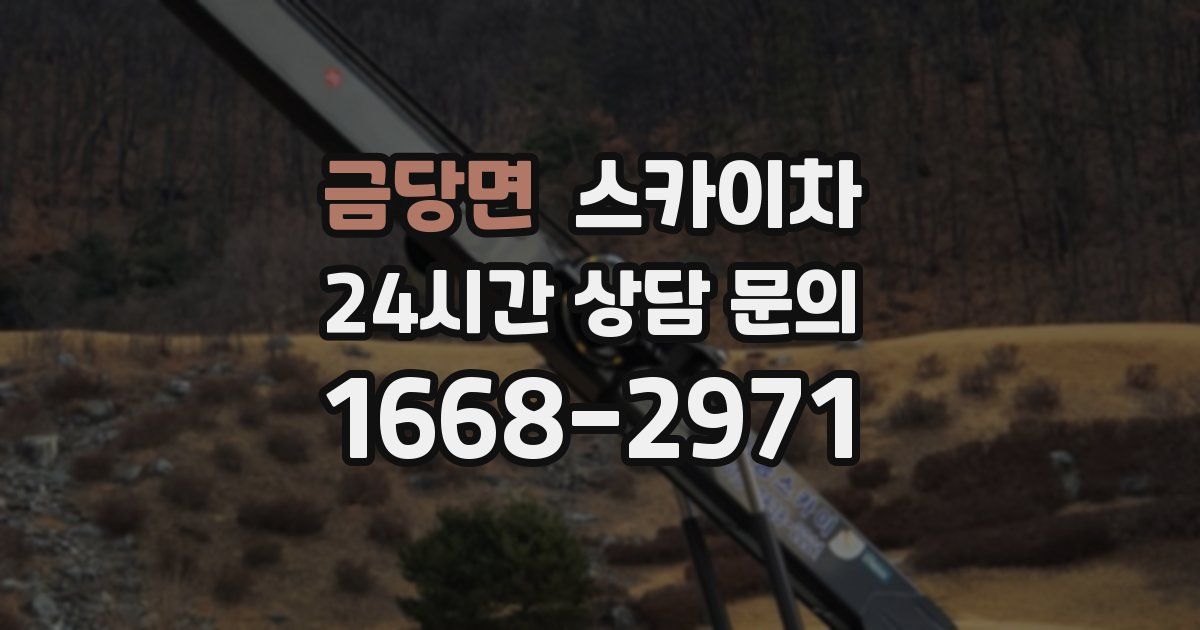 금당면 스카이차