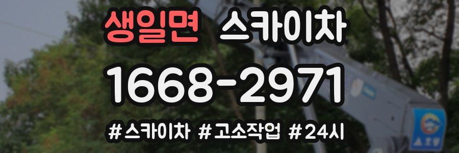 생일면 스카이차