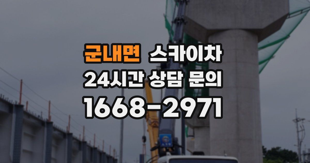 군내면 스카이차