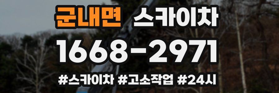 군내면 스카이차