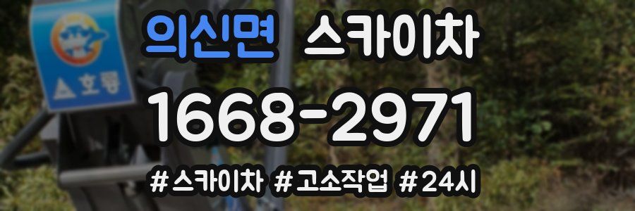 의신면 스카이차