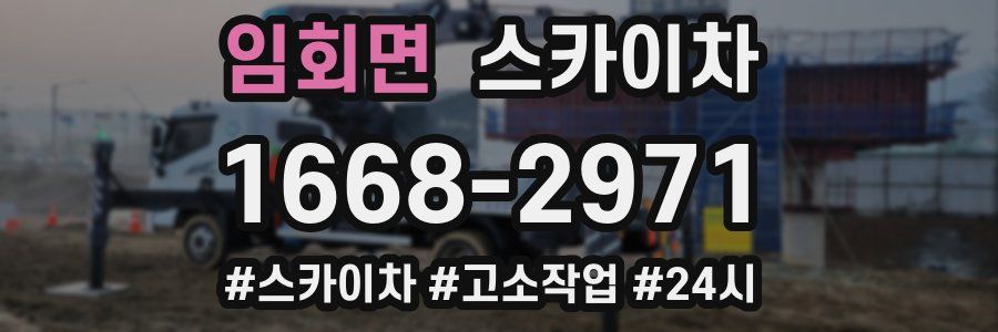 임회면 스카이차