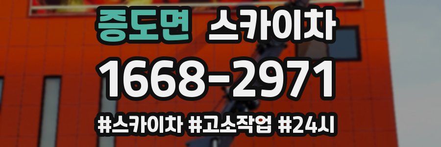 증도면 스카이차