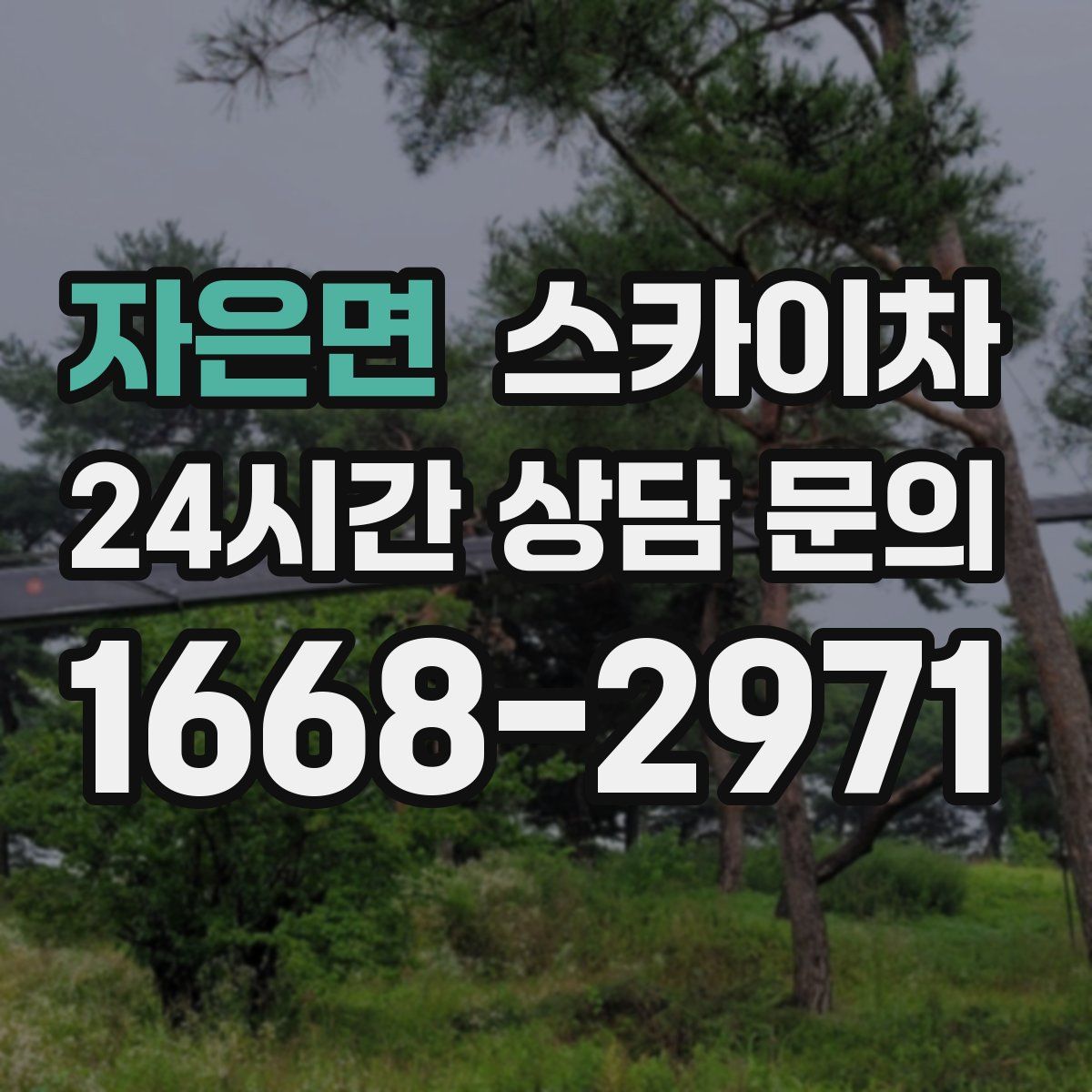 자은면 스카이차