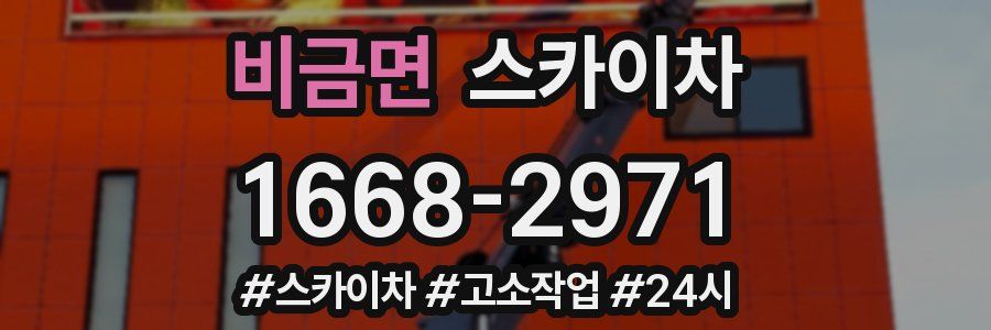 비금면 스카이차