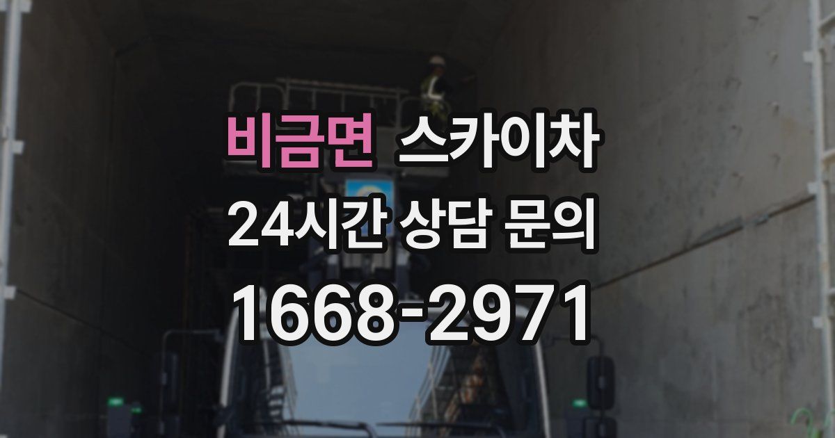 비금면 스카이차