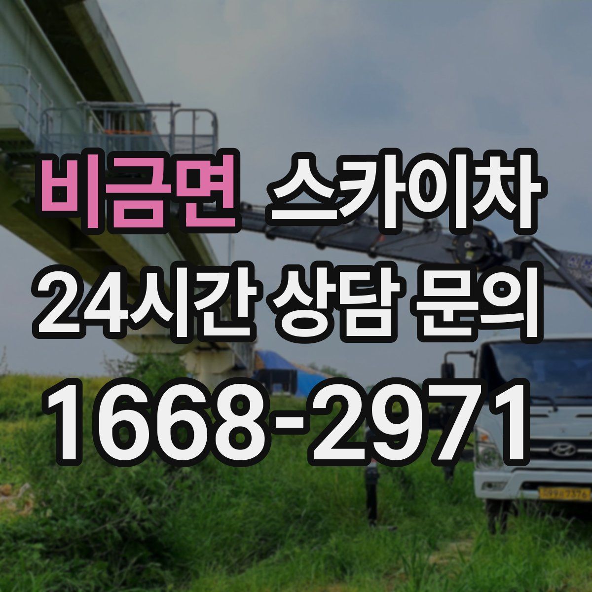 비금면 스카이차