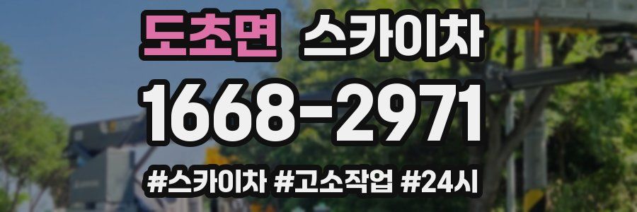 도초면 스카이차