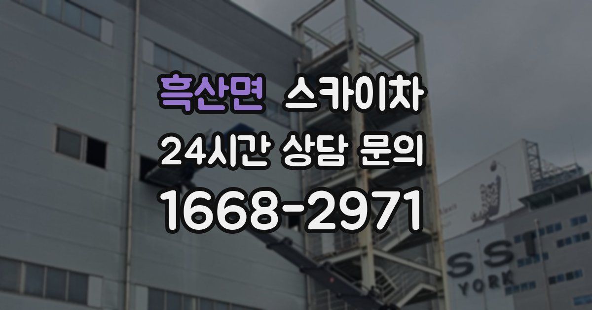 흑산면 스카이차
