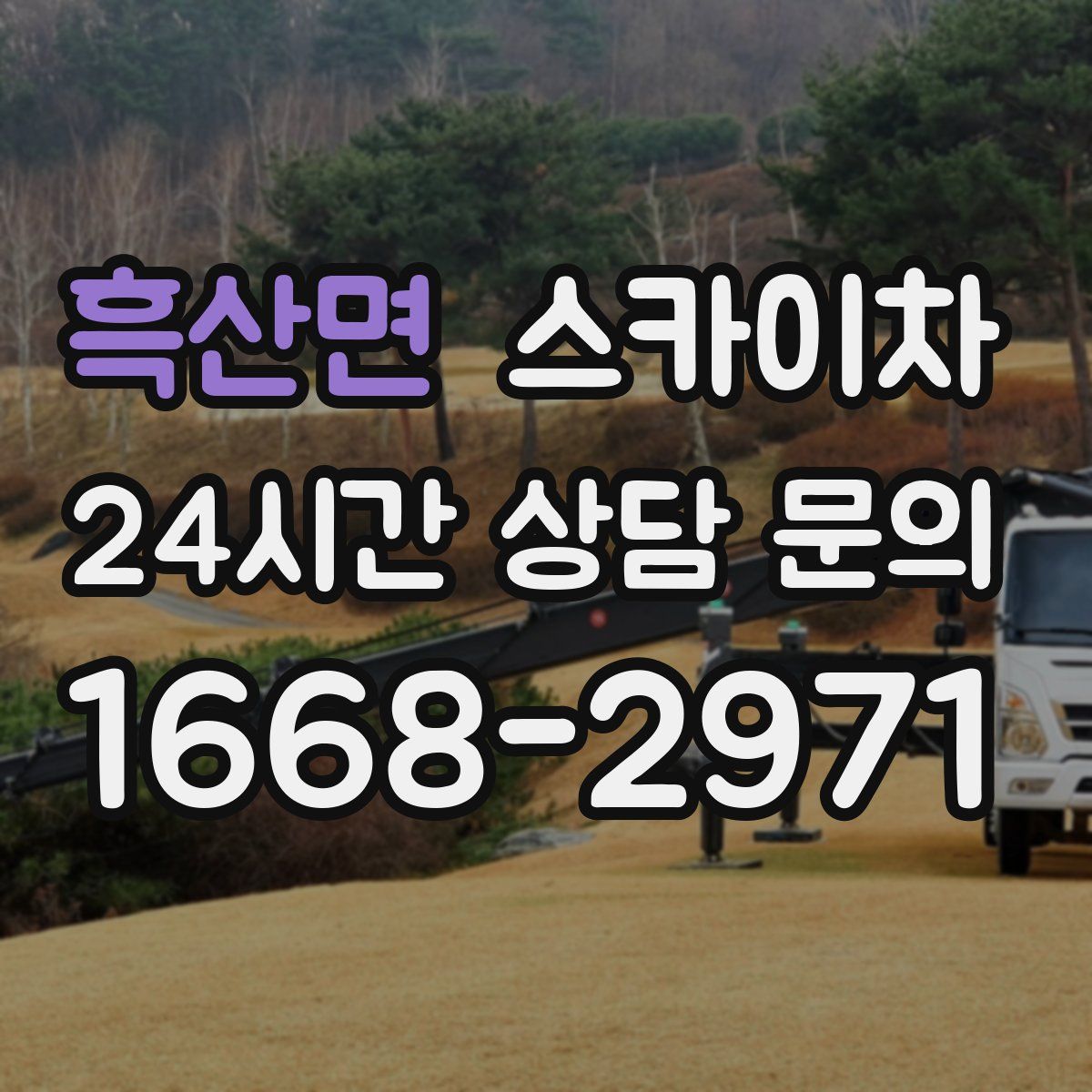 흑산면 스카이차