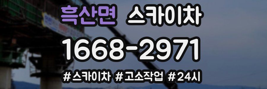 흑산면 스카이차