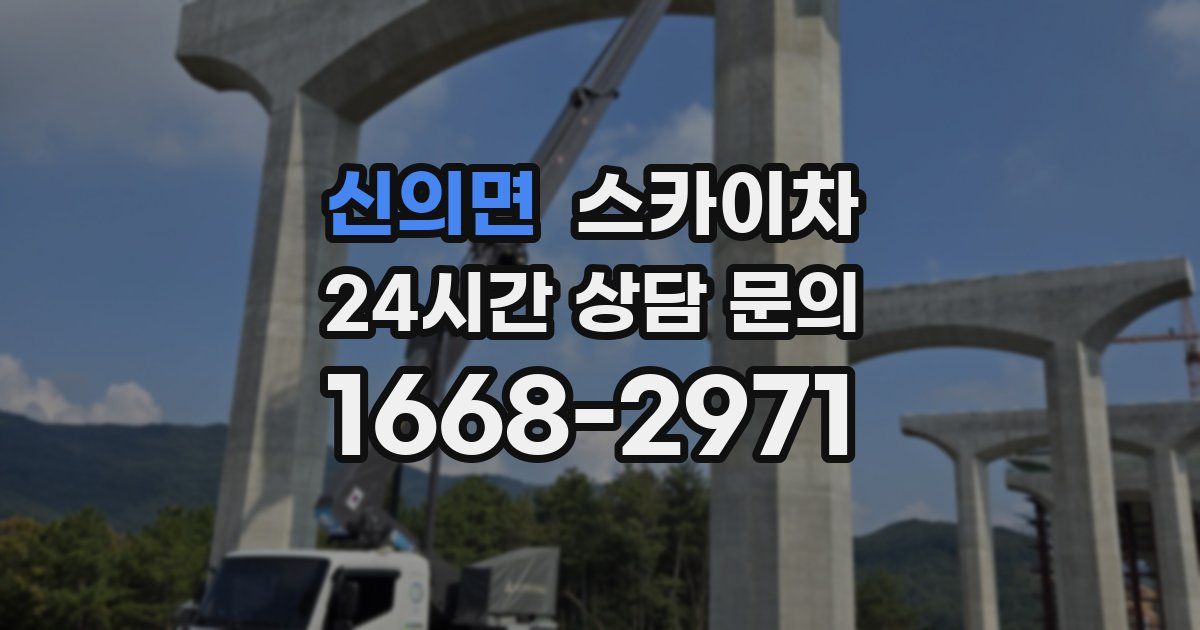 신의면 스카이차