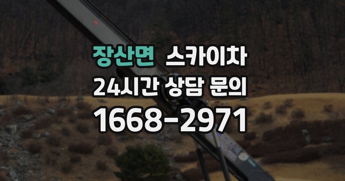 장산면 스카이차