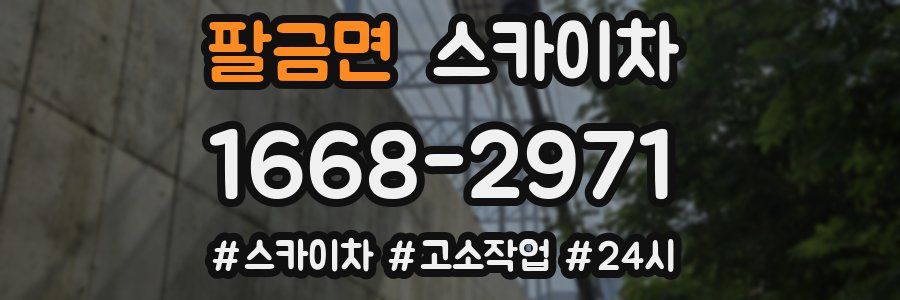 팔금면 스카이차