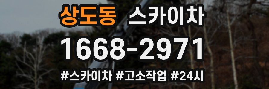 상도동 스카이차