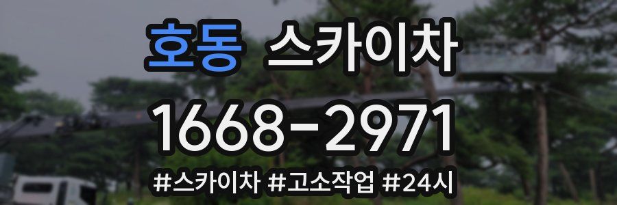 호동 스카이차