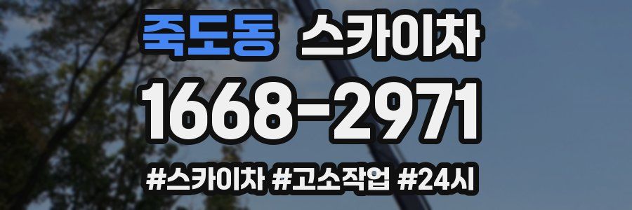 죽도동 스카이차
