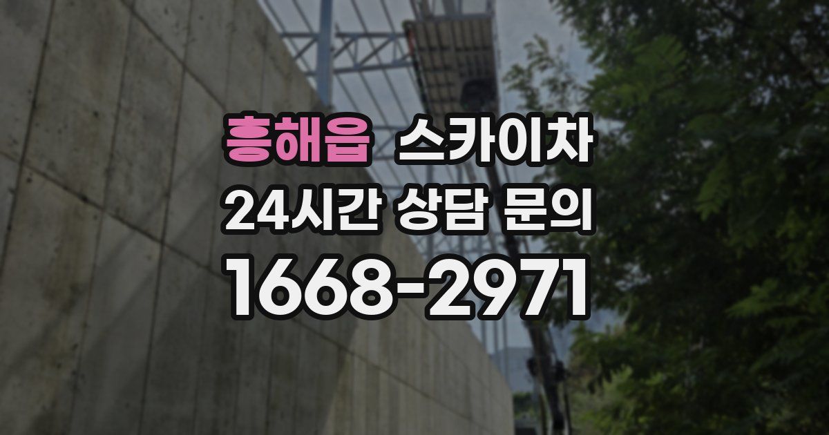 흥해읍 스카이차