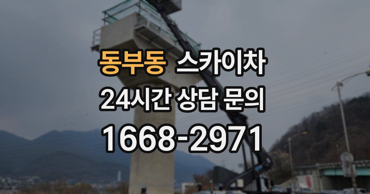 동부동 스카이차