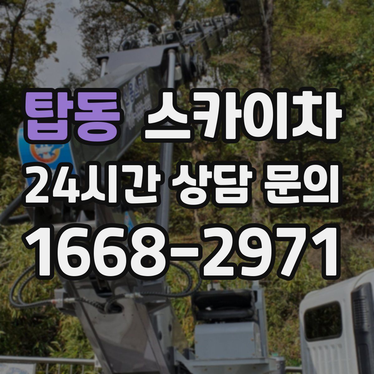 탑동 스카이차