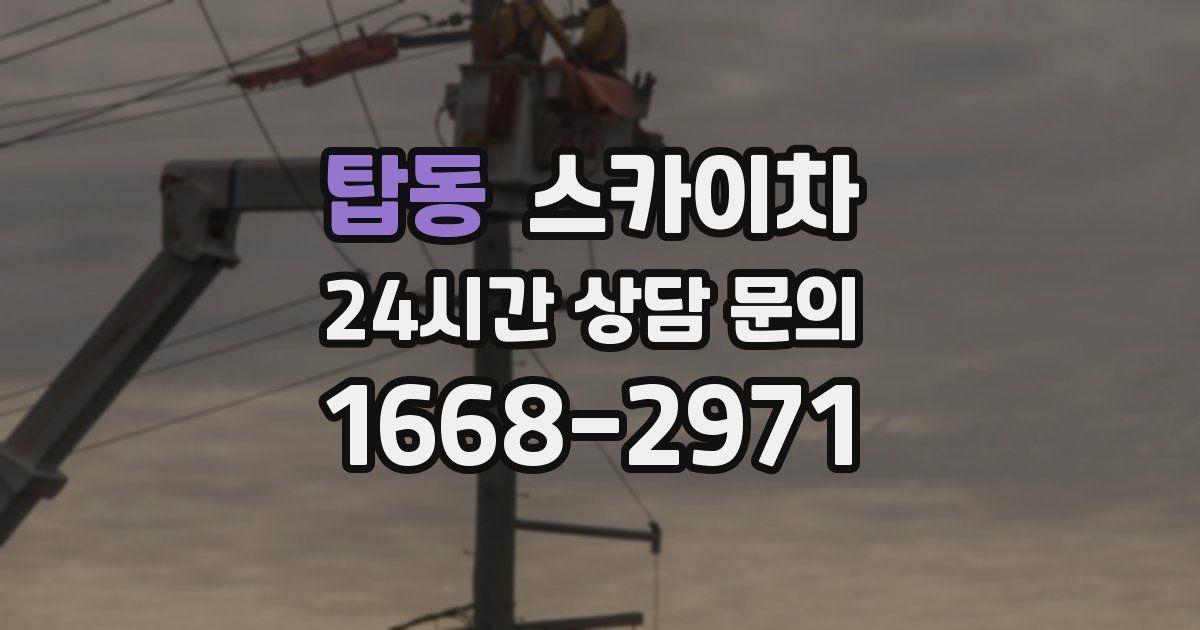탑동 스카이차