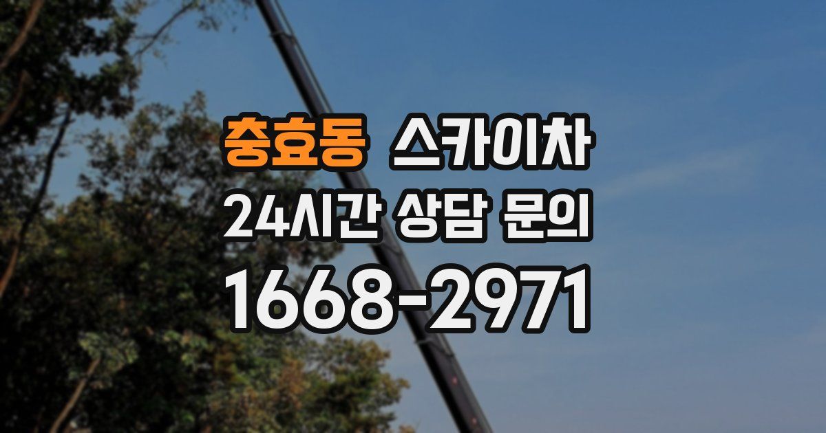 충효동 스카이차