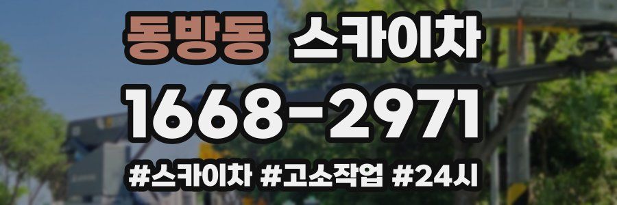 동방동 스카이차