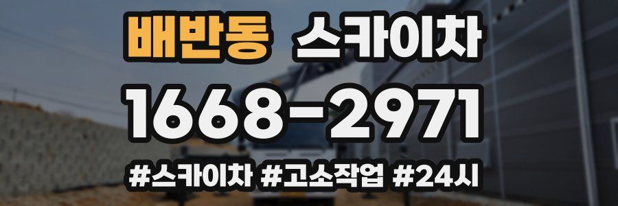 배반동 스카이차