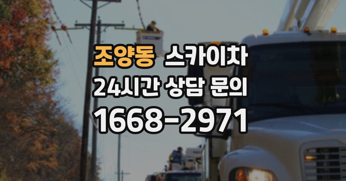 조양동 스카이차