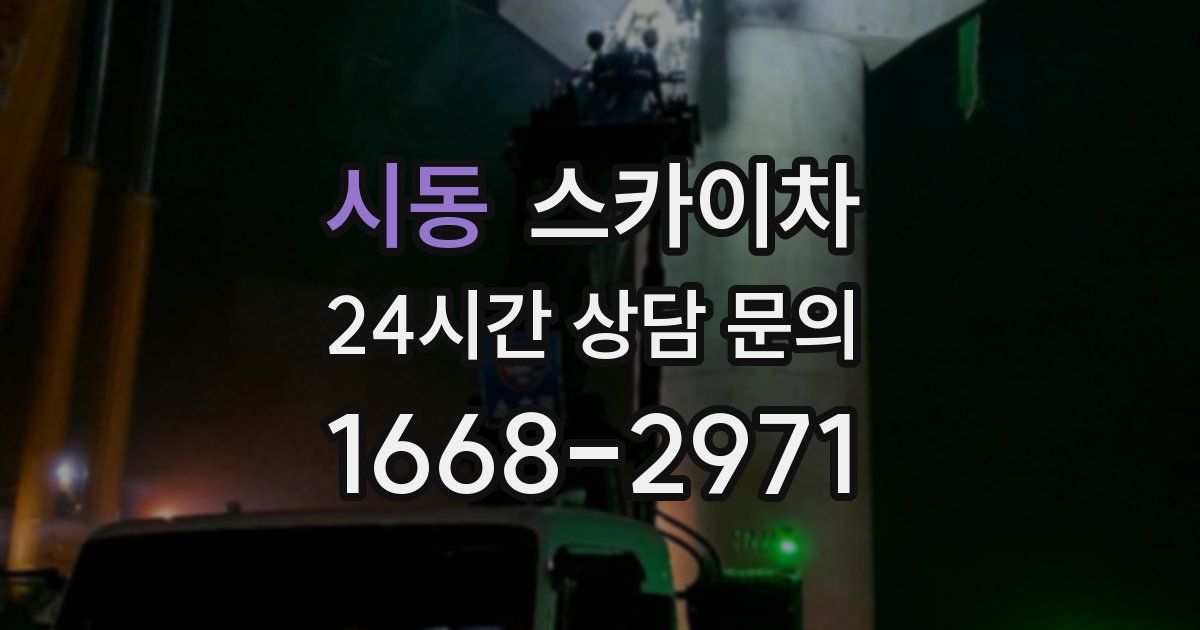 시동 스카이차