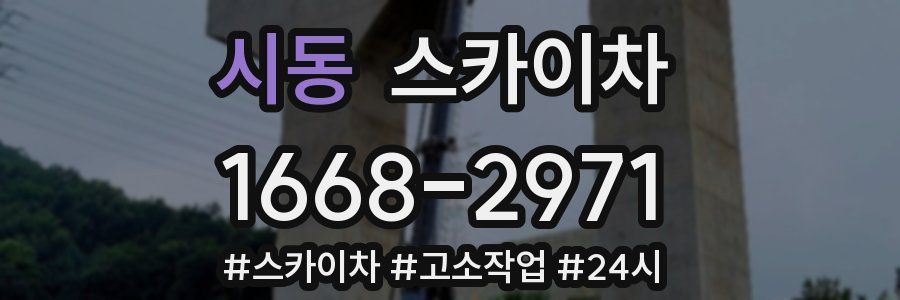시동 스카이차
