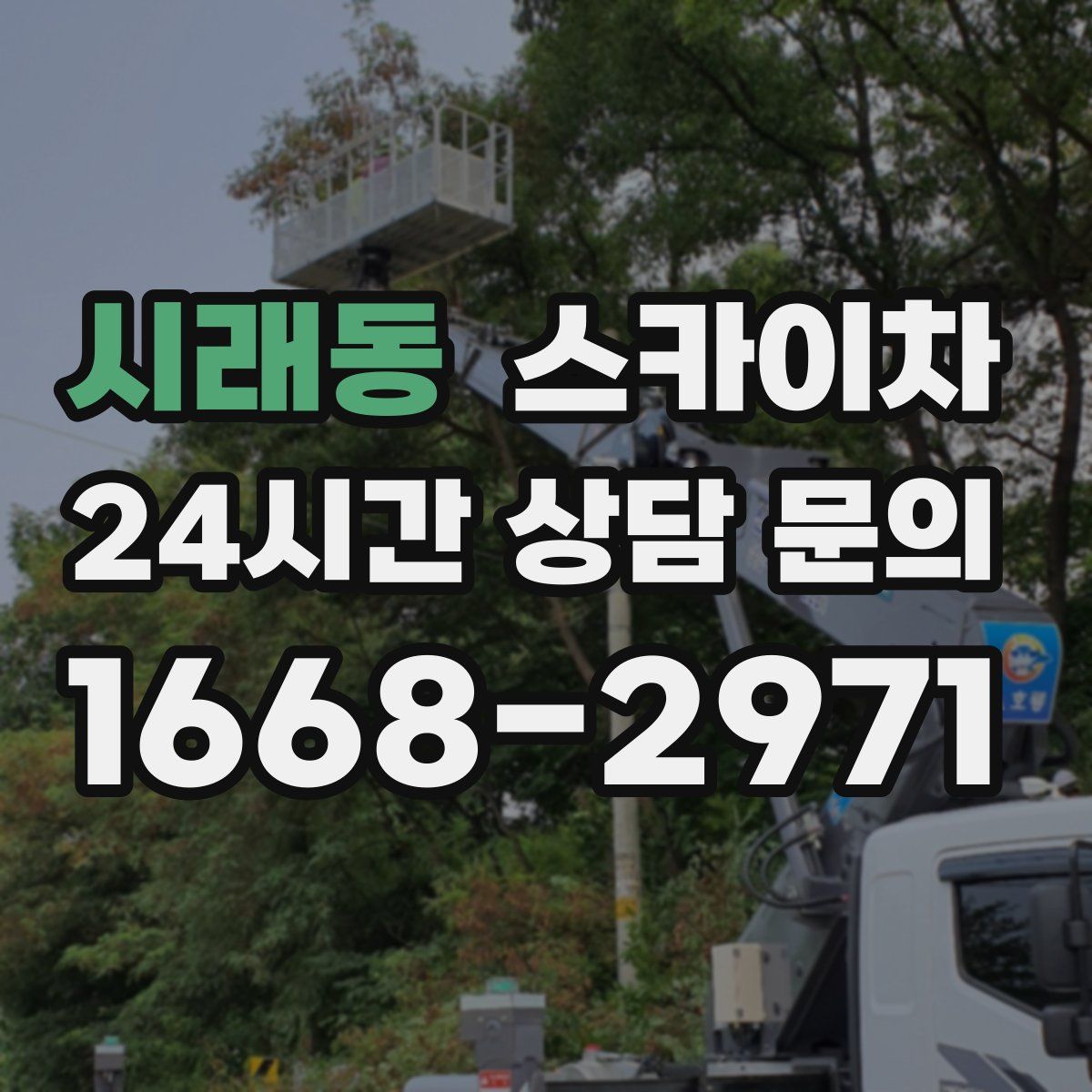 시래동 스카이차