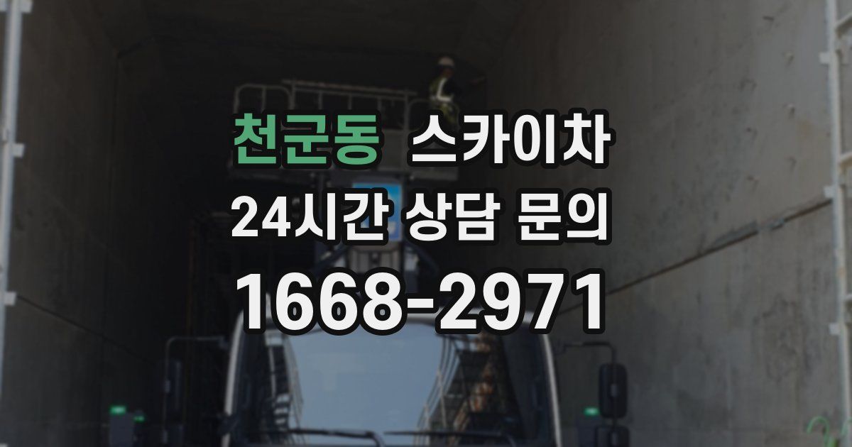천군동 스카이차