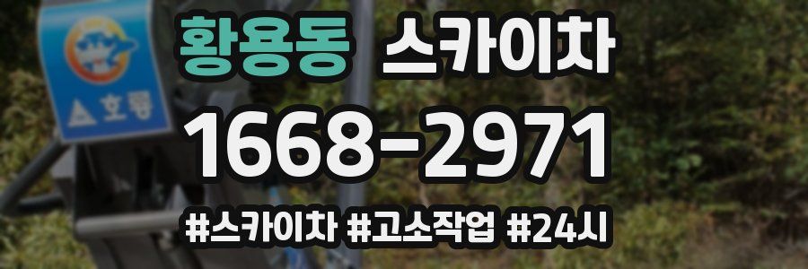황용동 스카이차