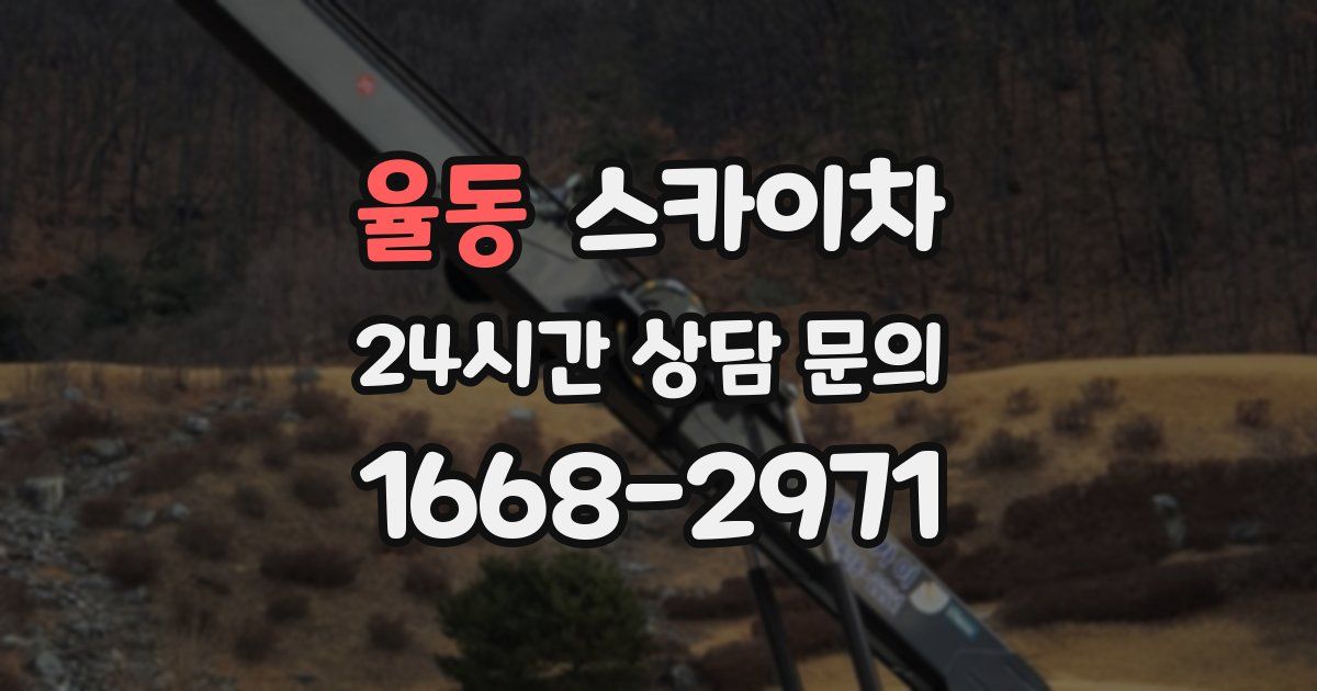 율동 스카이차