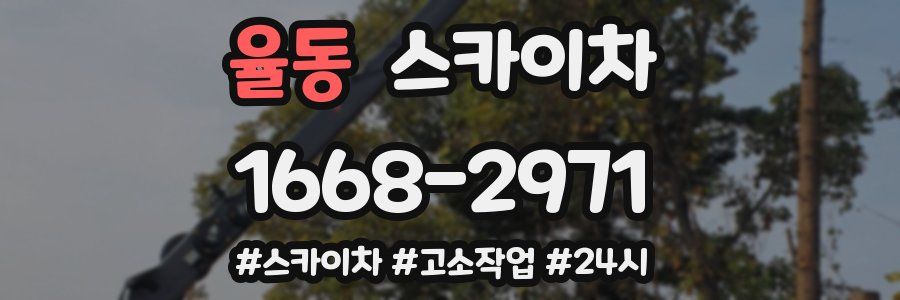 율동 스카이차