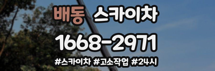 배동 스카이차