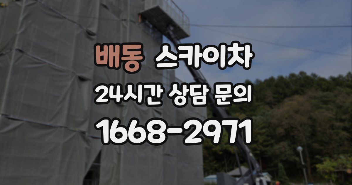 배동 스카이차