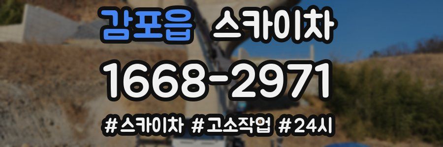 감포읍 스카이차