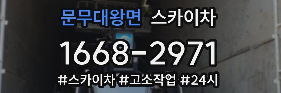 문무대왕면 스카이차