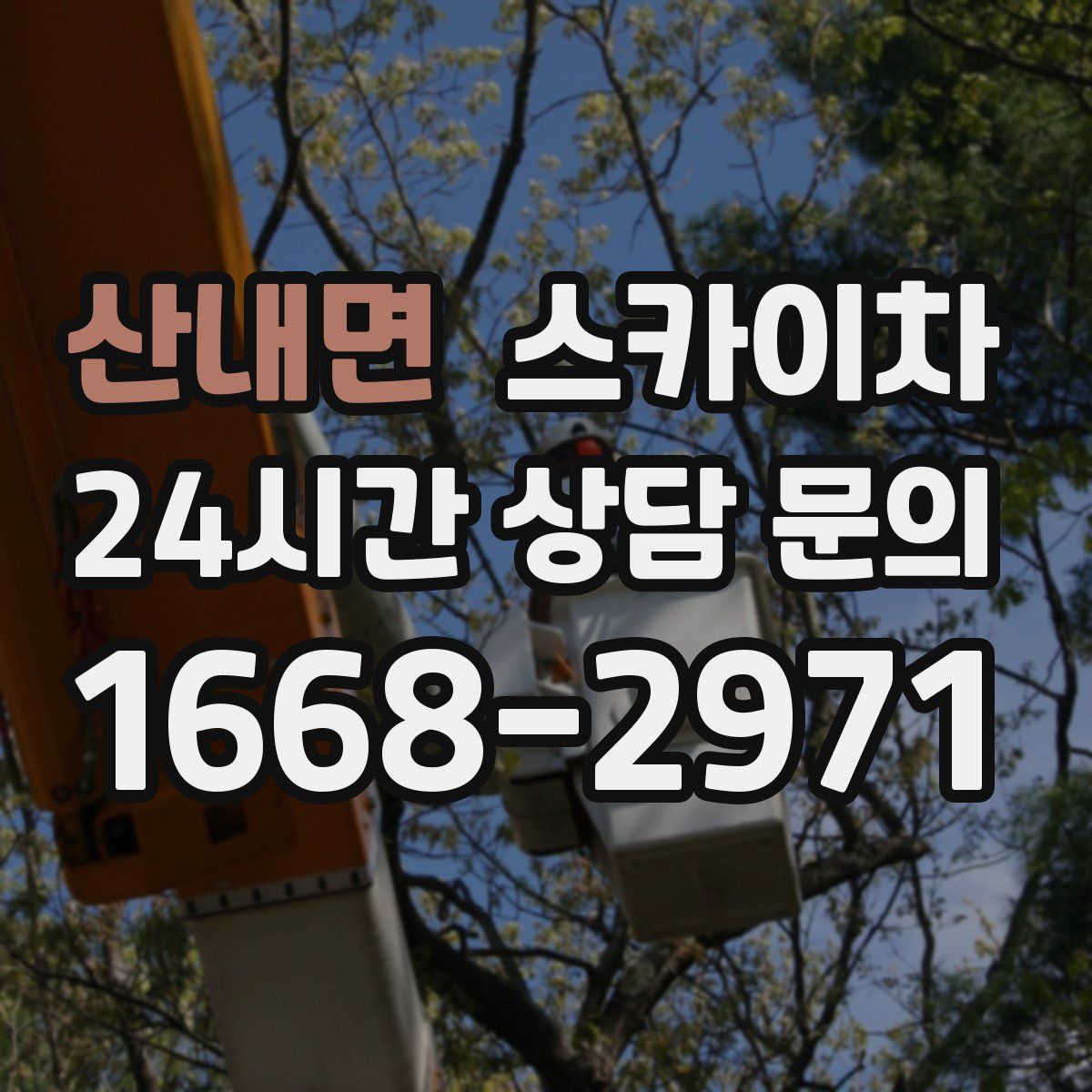 산내면 스카이차